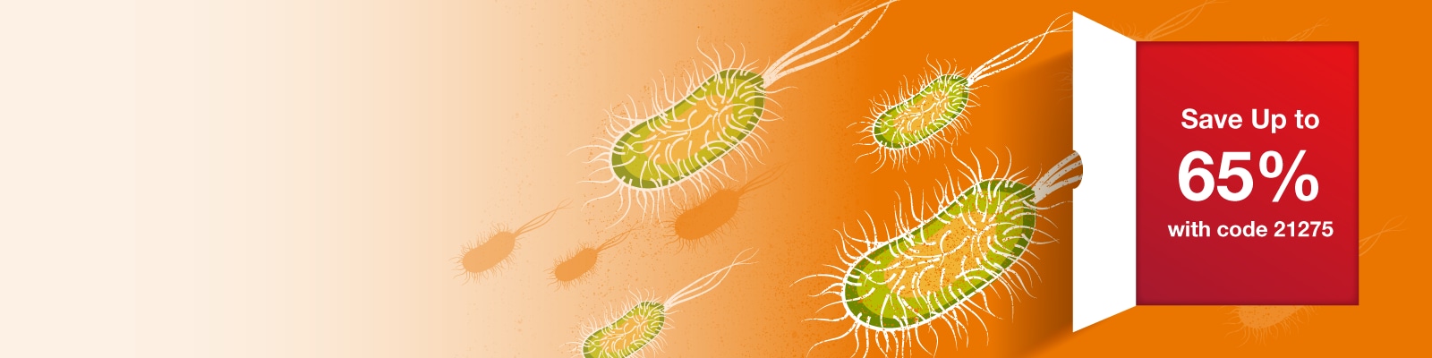 E. coli Transformation banner